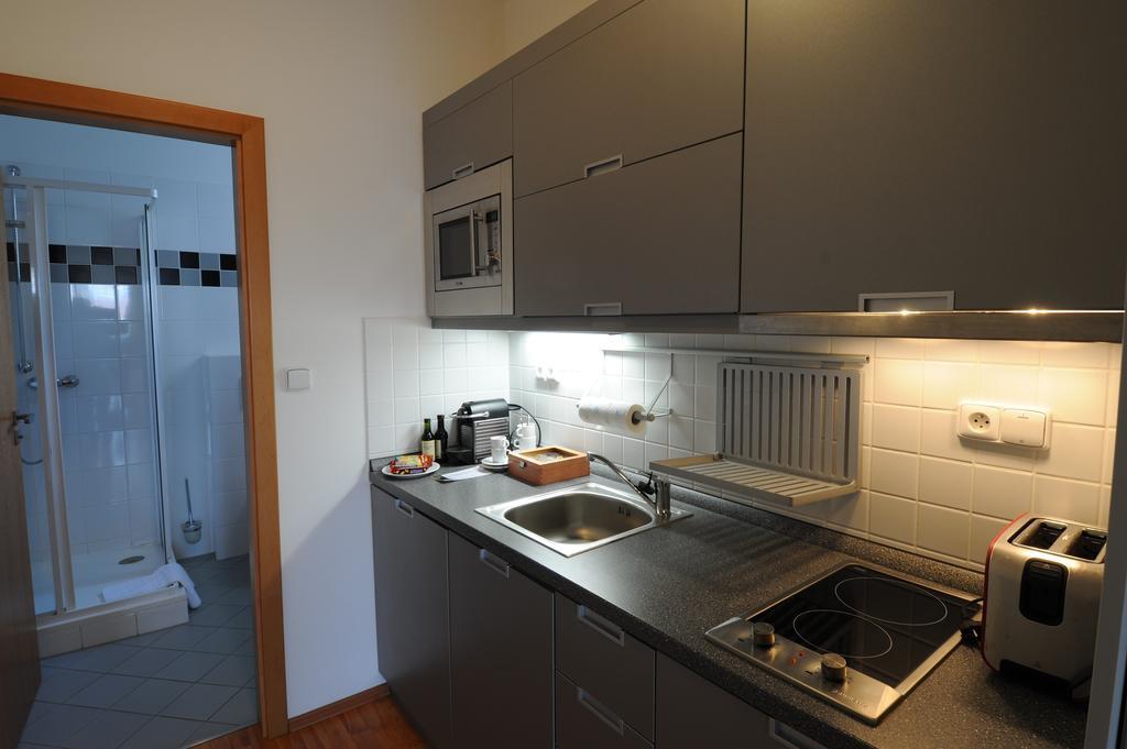 Apartmany Kramer Opava Oda fotoğraf